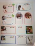 STICKERS  CON SOGGETTO EQUESTRE*  